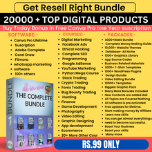 💡 Starter Bundle – Digital Mastery Lite (₹99 Only!)