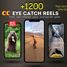 💡 Starter Bundle – Digital Mastery Lite (₹99 Only!)